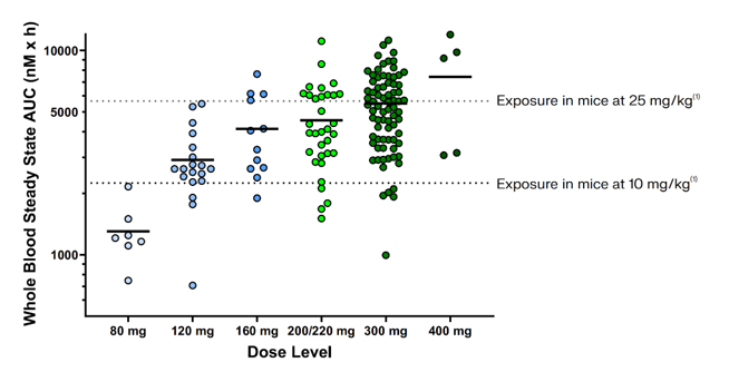 RMC-6236剂量选择